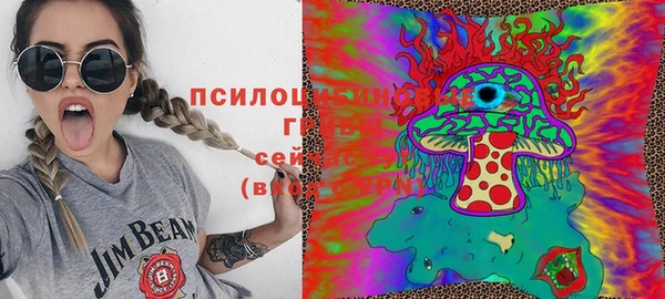 трава Весьегонск