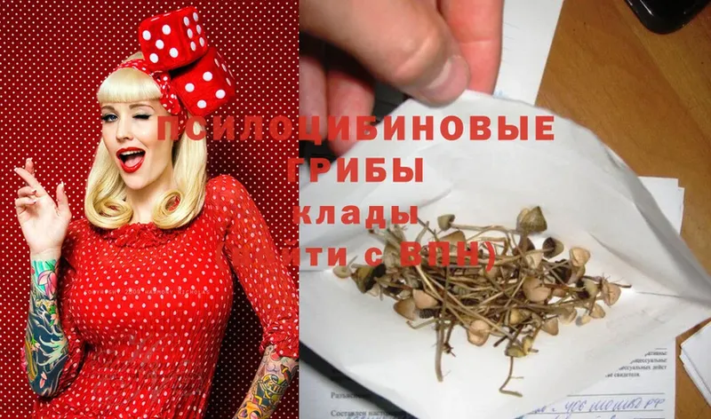 Псилоцибиновые грибы Magic Shrooms  сайты даркнета клад  Краснослободск 